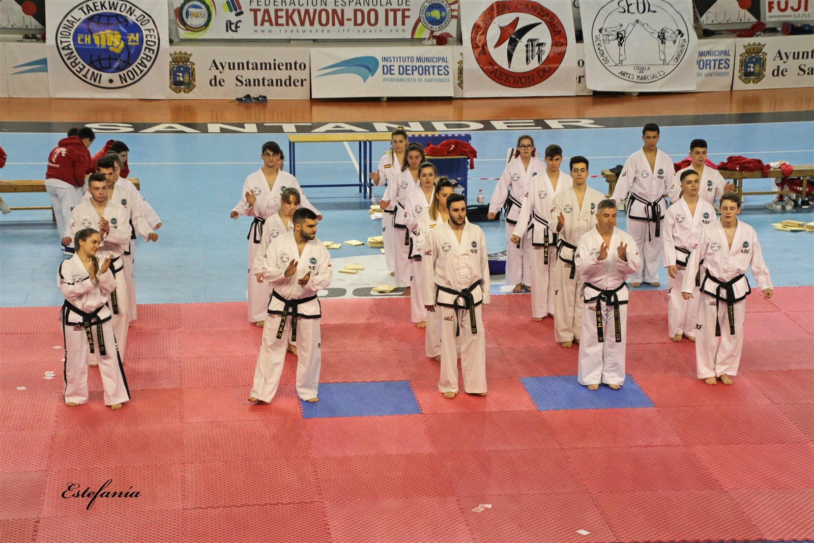 Taekwondo (234).jpg